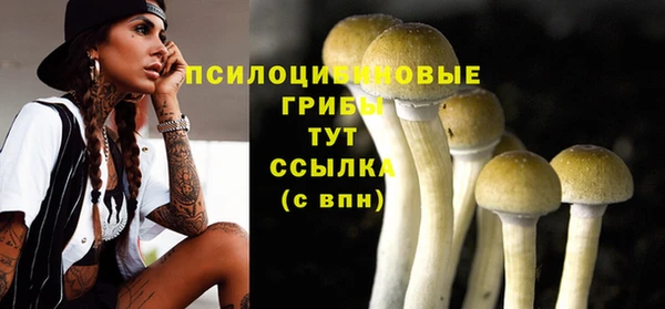 дживик Осинники