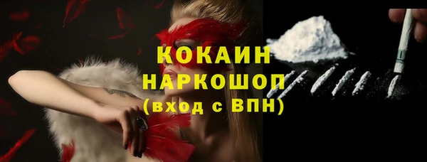 дживик Осинники