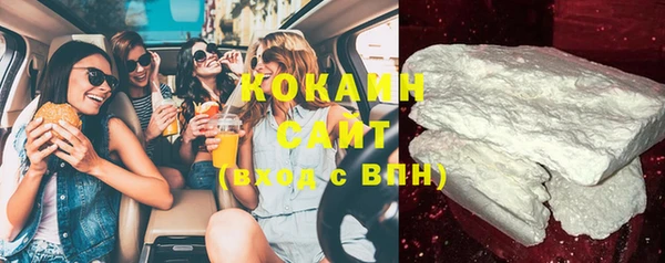 дживик Осинники