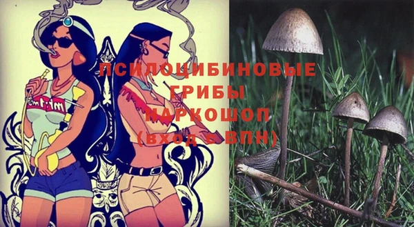 COCAINE Щучье