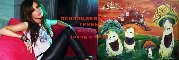 дживик Осинники