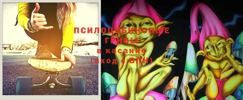 Галлюциногенные грибы мицелий  наркошоп  Белая Холуница 