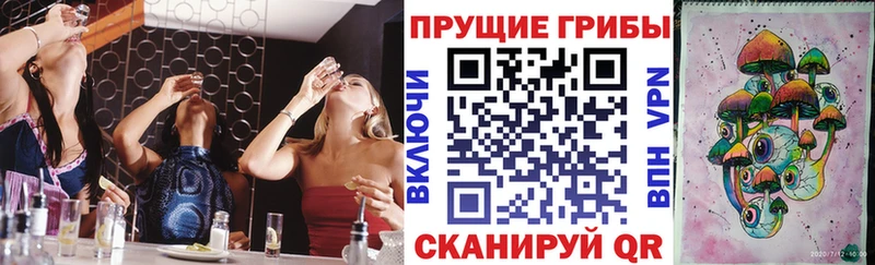 Галлюциногенные грибы Psilocybe  Белая Холуница 
