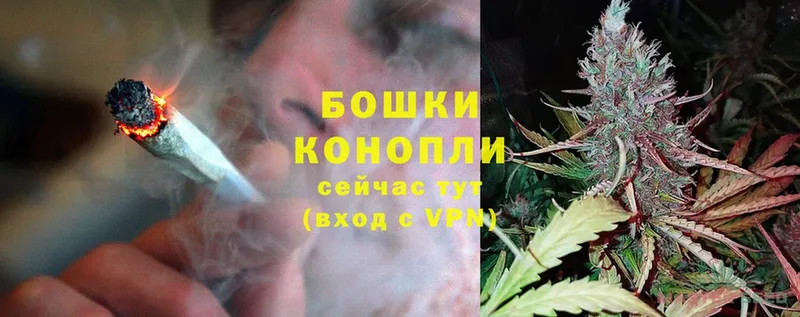 где можно купить   Белая Холуница  Каннабис ГИДРОПОН 