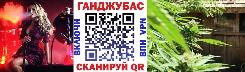 Каннабис план  блэк спрут ССЫЛКА  Белая Холуница 